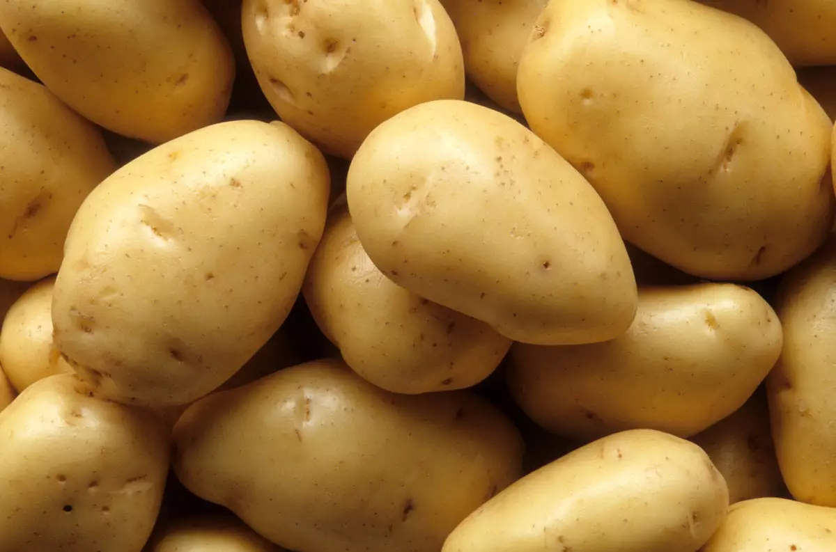 Когда лучше сажать картошку: советы агронома и лунный календарь