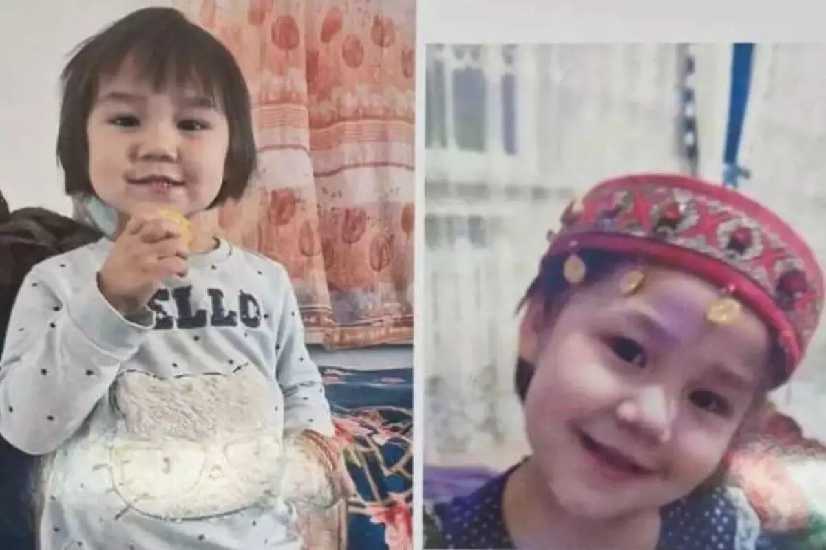 Пропавшую трехлетнюю девочку вторые сутки ищут в Туркестанской области