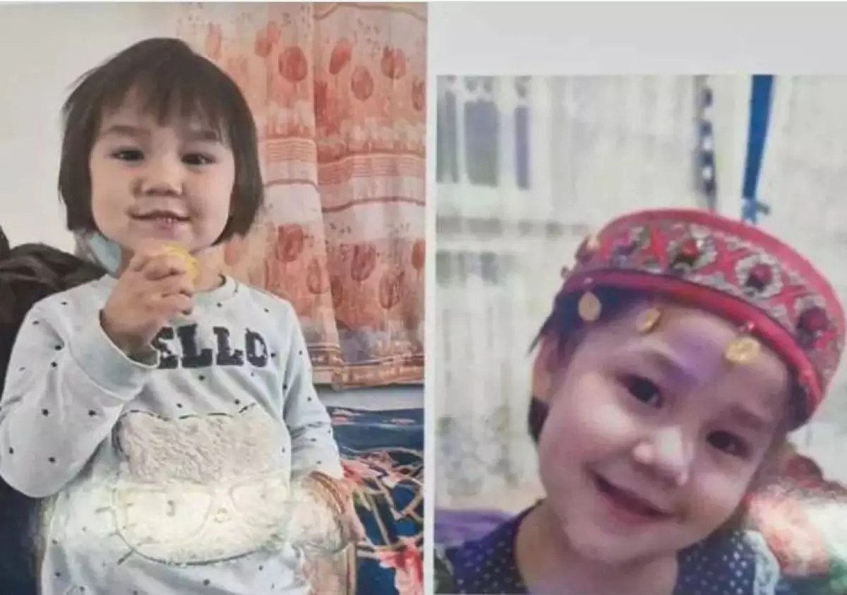 Бесследно исчезла: трехлетняя девочка пропала в Туркестанской области