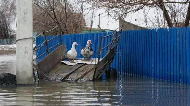 Обеспечить пострадавших от паводка качественным жильем поручил Токаев