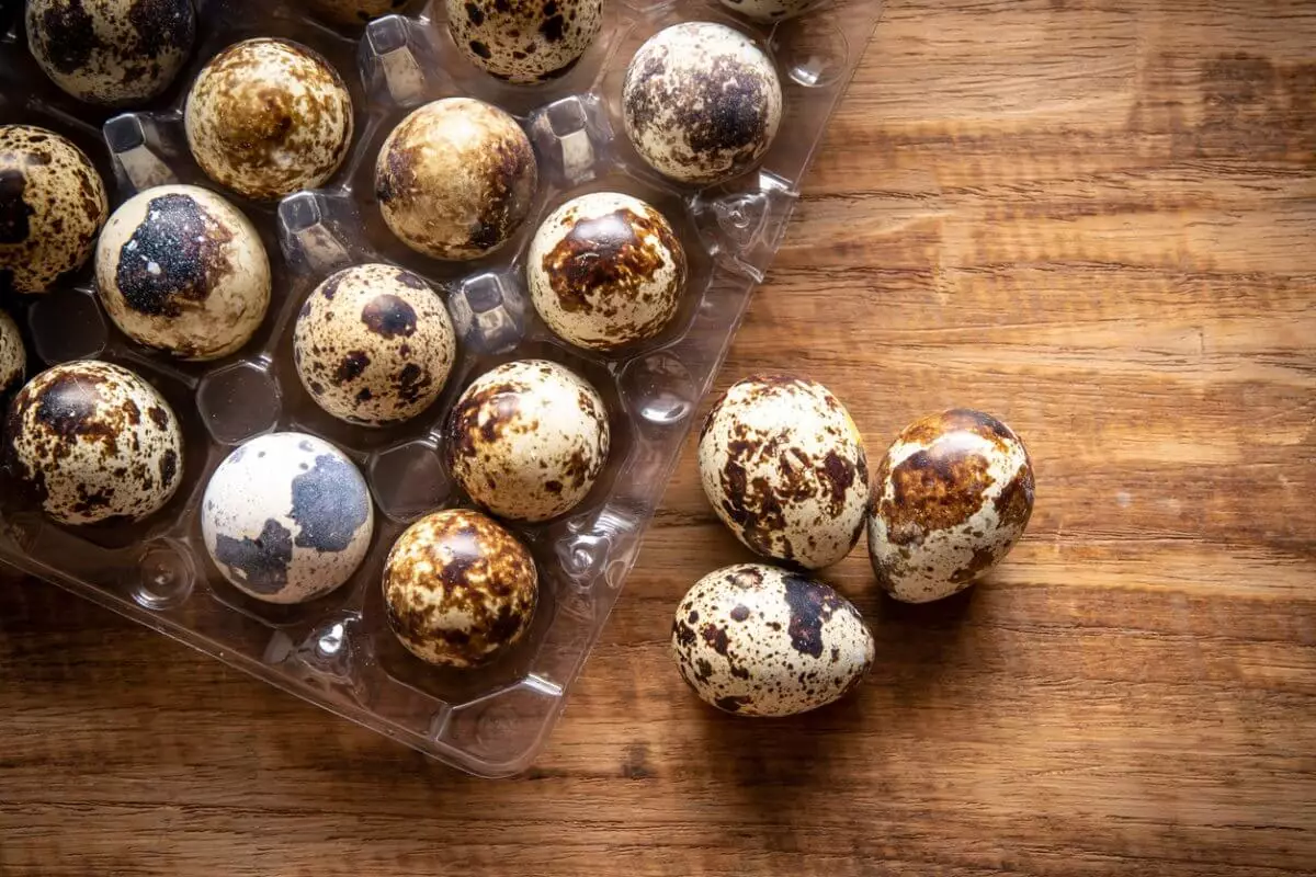 Перепелиные яйца пытались незаконно ввезти в Казахстан из Китая