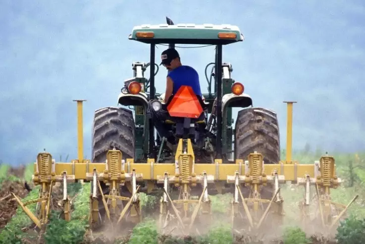 Пострадавшим от паводков аграриям возместят ущерб: утверждены правила