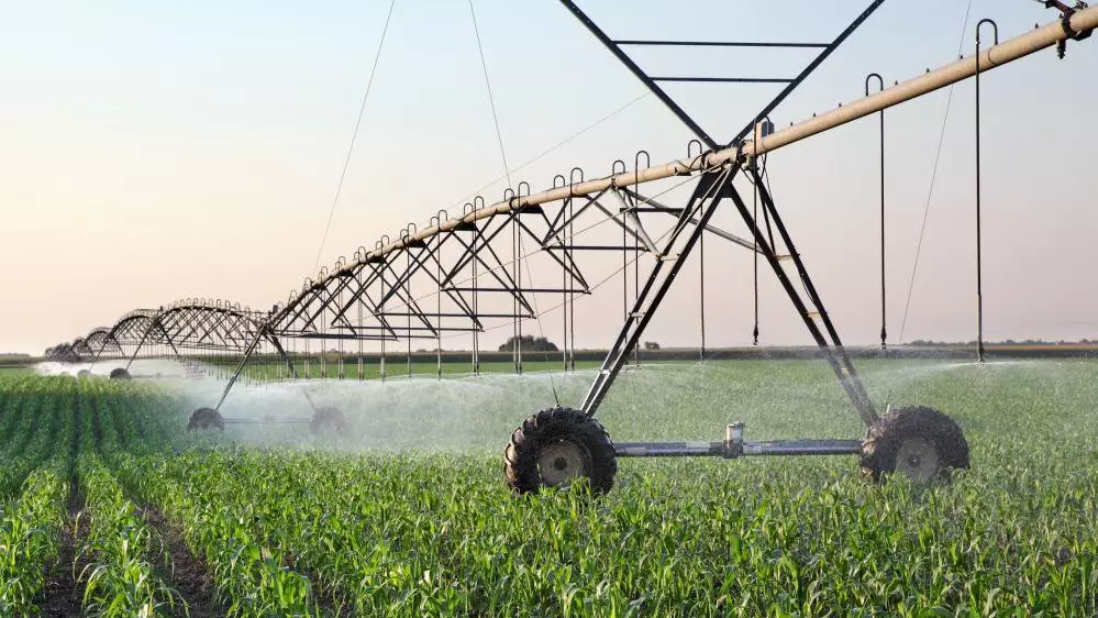 Для аграриев Туркестанской области цены на поливную воду снизились до 38%