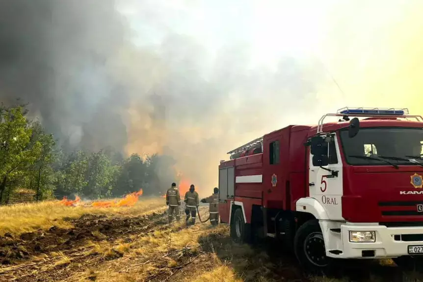 Лесной пожар в Абайской области: что изменилось за год