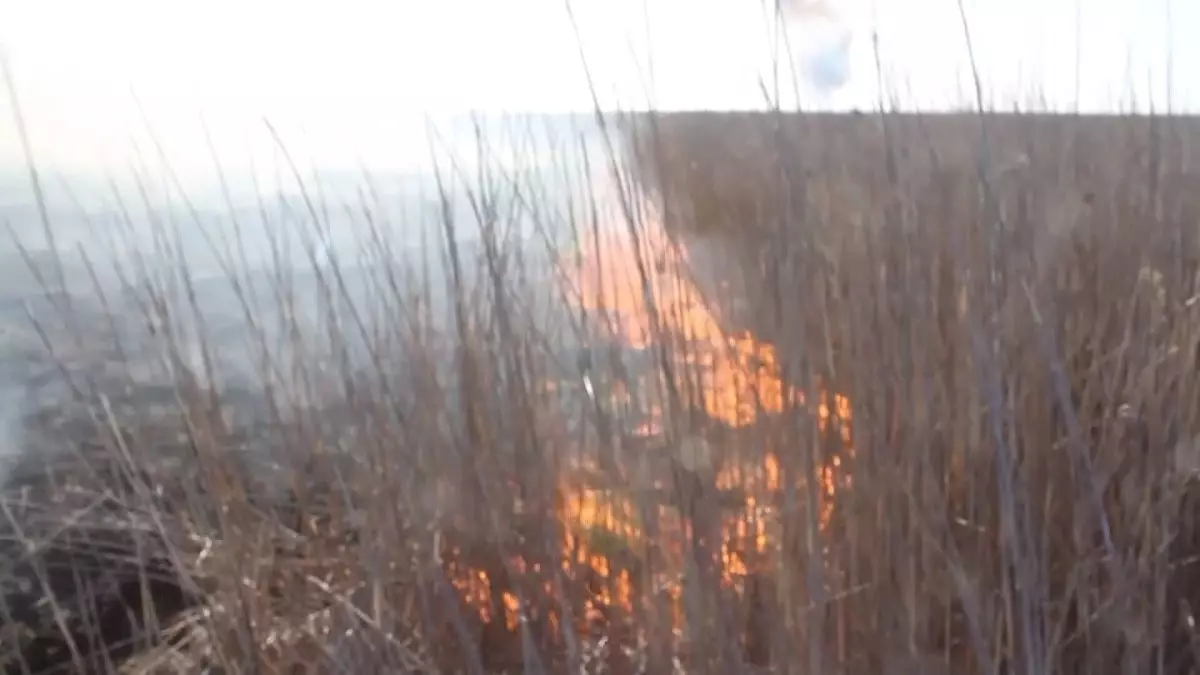 В Казахстане зафиксировано более 130 природных пожаров