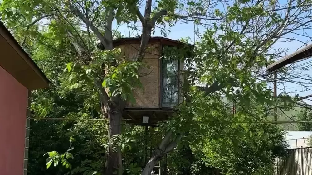 Домик на дереве в Алматинской области стал хитом Казнета