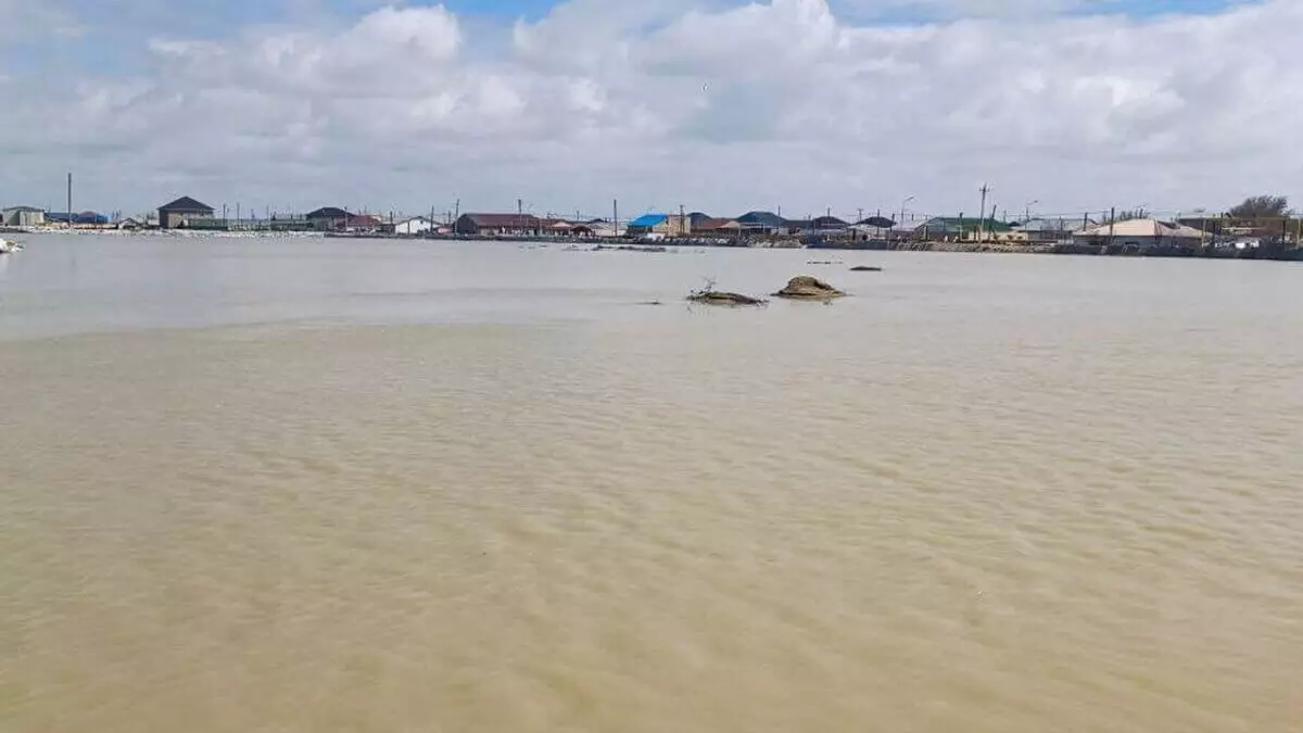В Атырауской области фиксируют колебания уровня воды в реке Жайык