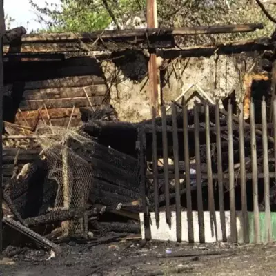 94-летний петропавловец избил жену и взорвал дом