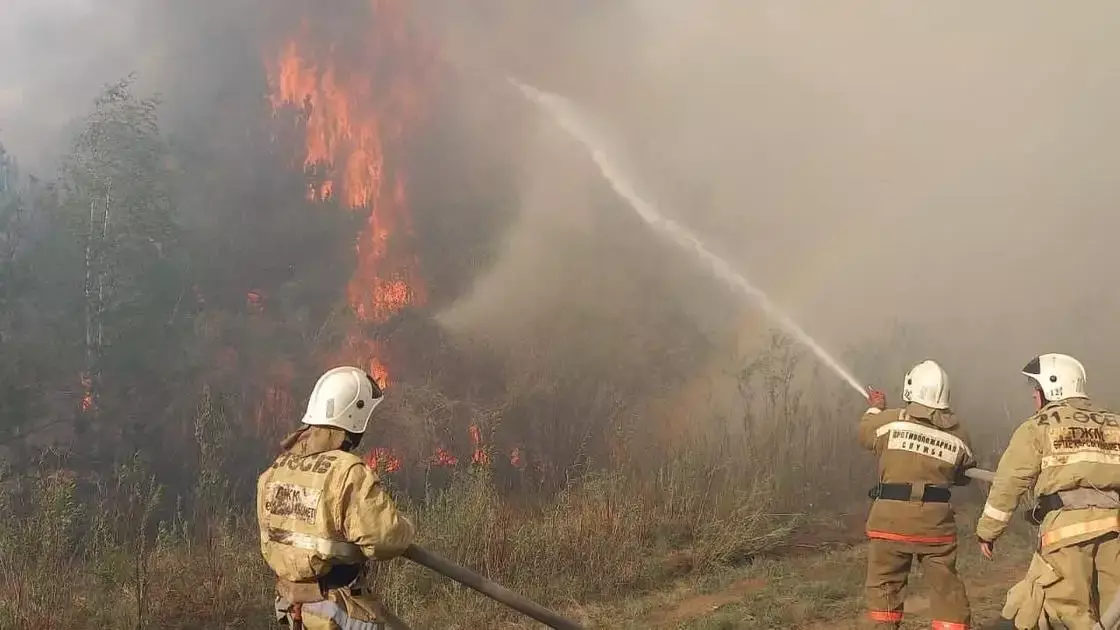 Генпрокурор Асылов предсказал пожары летом и поручил проверить готовность спасателей