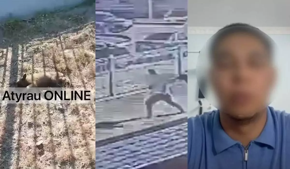 Пнул щенка и бросил о стену: житель Атырау записал видео с оправданиями