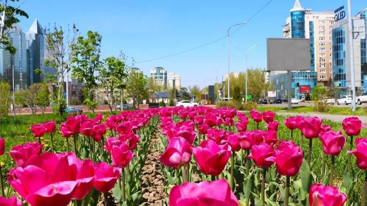 Погода Алматы на выходные – 25 и 26 мая