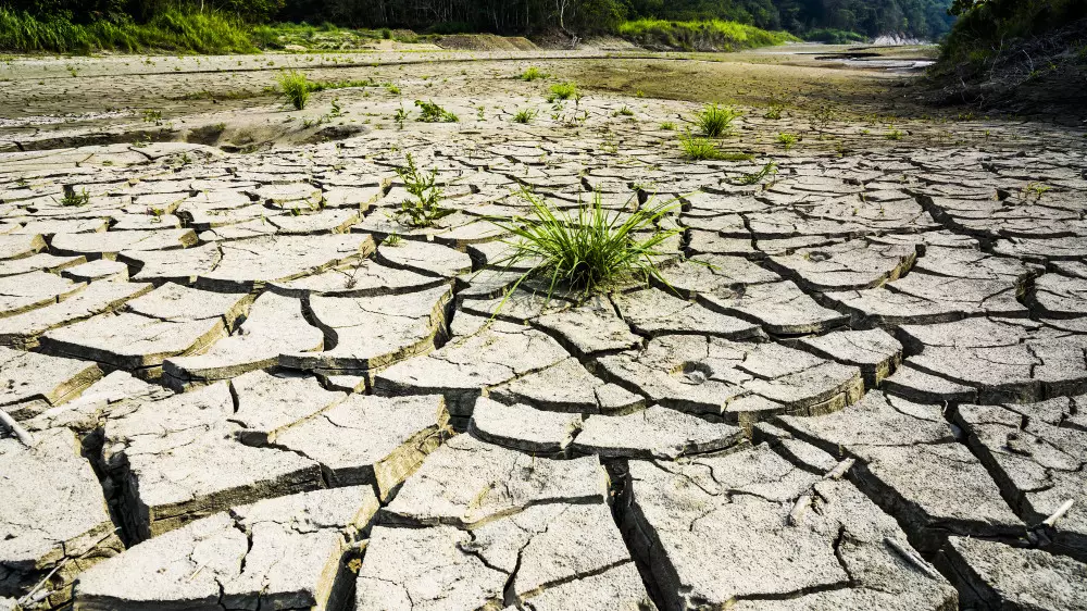 В каких регионах Казахстана в июне ожидается засуха