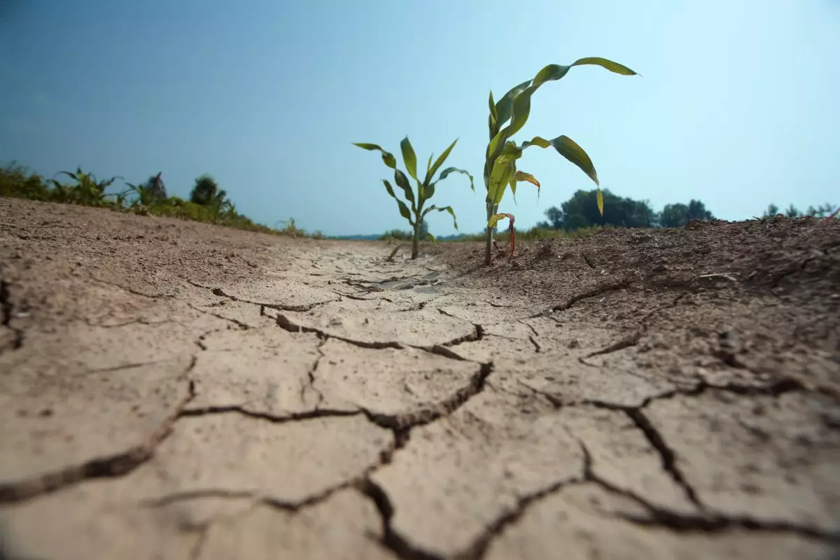 «Казгидромет» назвал четыре области, в которых ожидается засуха в июне