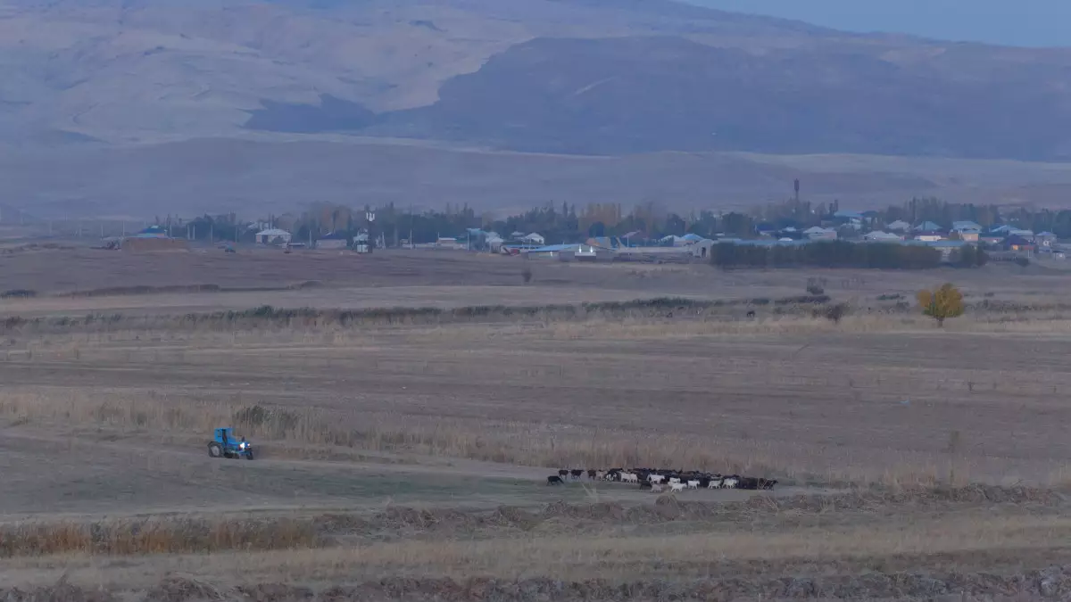 Мониторинг саранчи в Казахстане будут проводить с помощью дронов