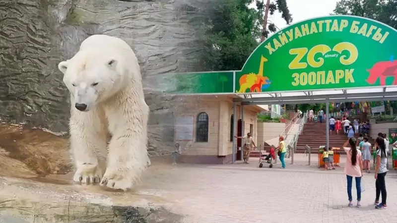 В зоопарке Алматы назвали причину смерти чешского медведя Тома