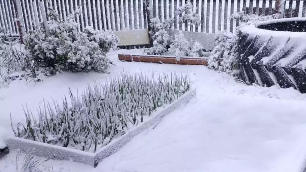 Майский снег выпал в Акмолинской области