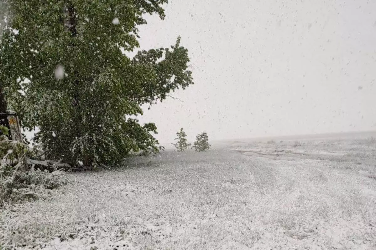 Северный циклон принес снег в Казахстан в ближайшие три дня (ВИДЕО)