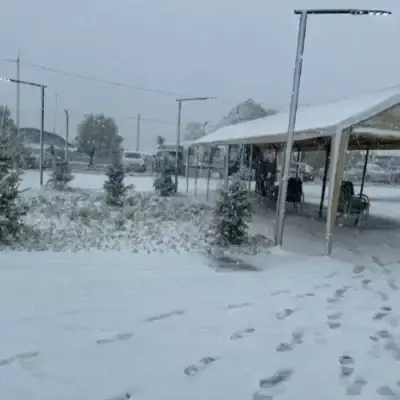 Снег в конце мая: аномальная погода охватила Акмолинскую область