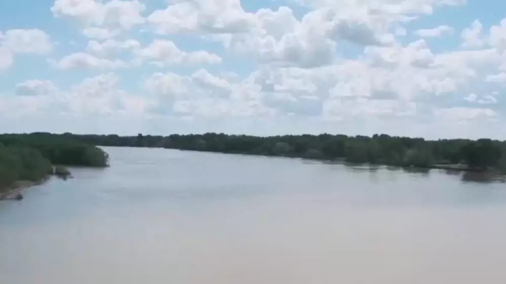 В реку Иртыш в Павлодарской области выпустили сибирского осетра