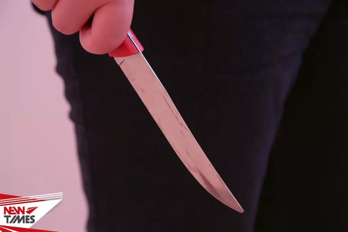 Ученицу столичной НИШ пытался убить подросток с помощью ножа