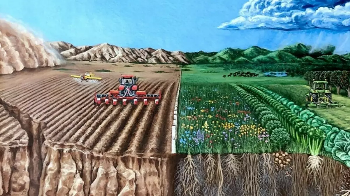 Солнце, почва, фотосинтез: комбинированные решения в сельском хозяйстве Казахстана