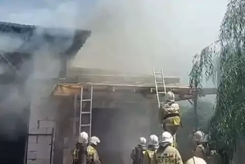 Огнеборцы ликвидировали пожар в дачном массиве в Алматы