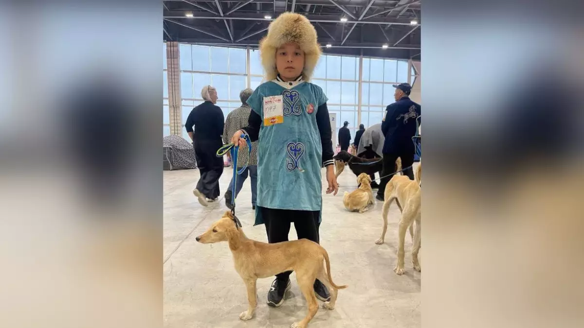 Международная выставка по признанию собак породы қазақ тазы прошла в столице Казахстана