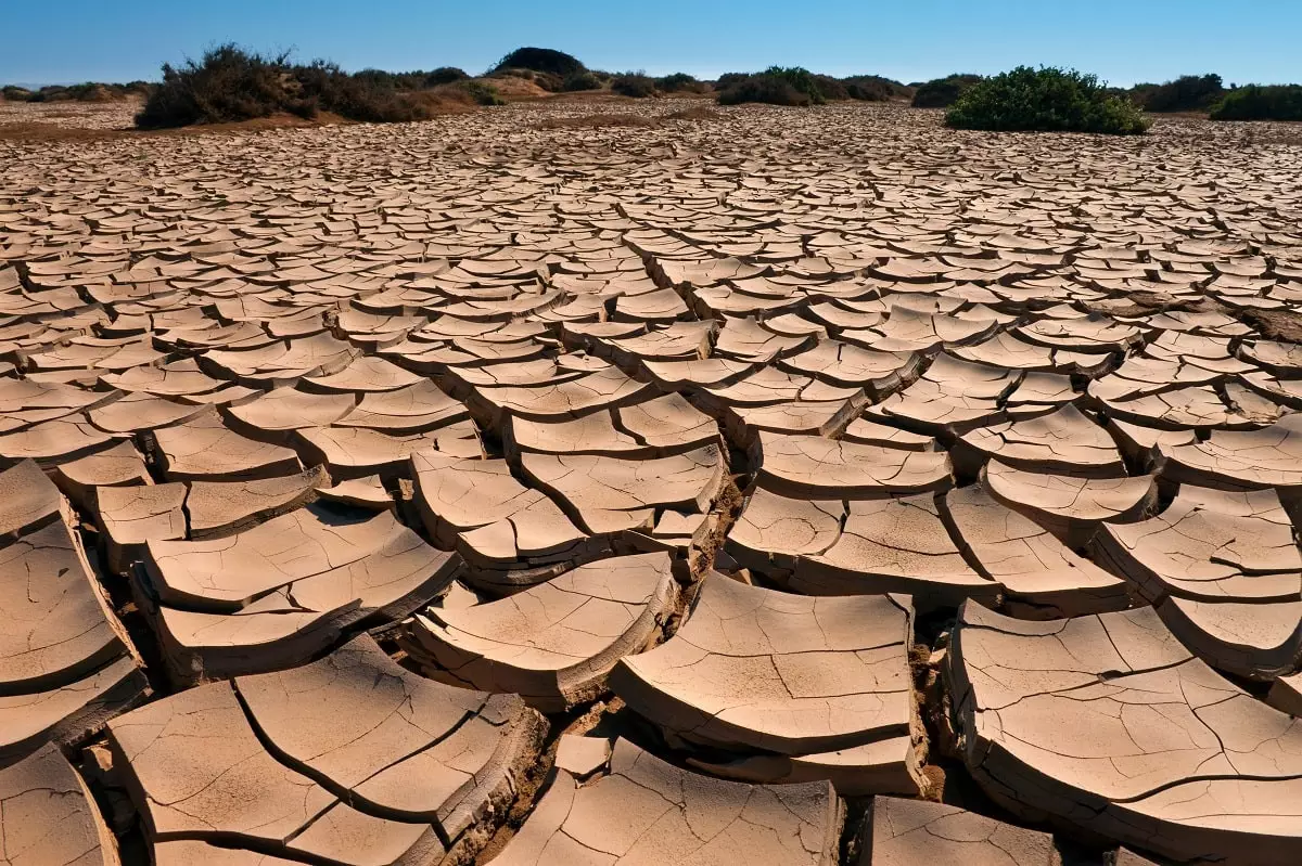 Засуха в июне 2024: какие регионы в Казахстане она затронет 