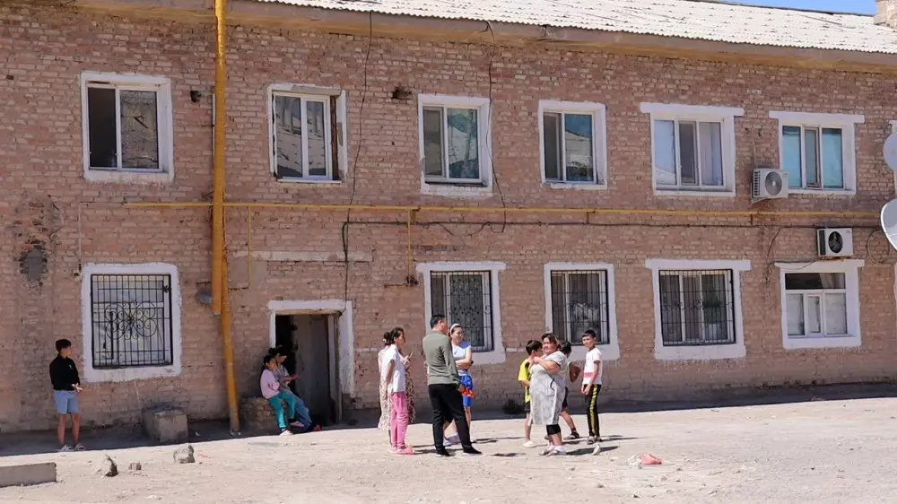 Алабай едва не растерзал мальчика в Кызылординской области