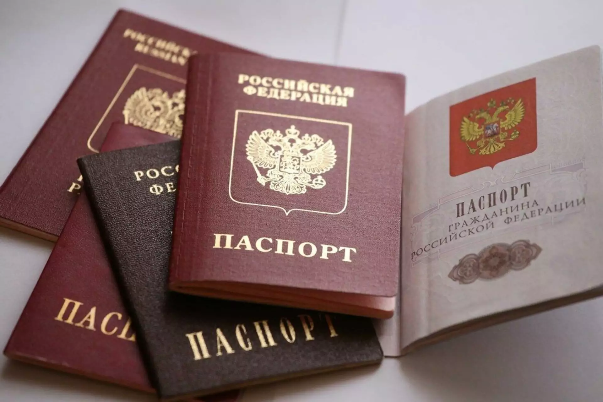В России отказались возвращать графу «национальность» в паспорте