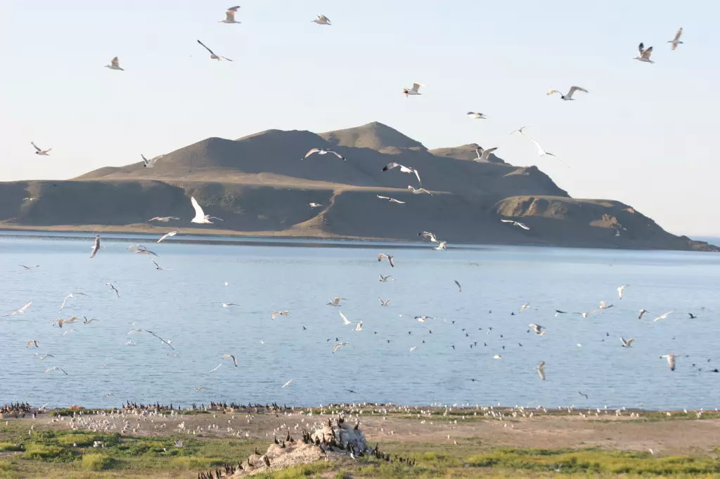 Казахстанцам запретили посещать три острова на Алаколе