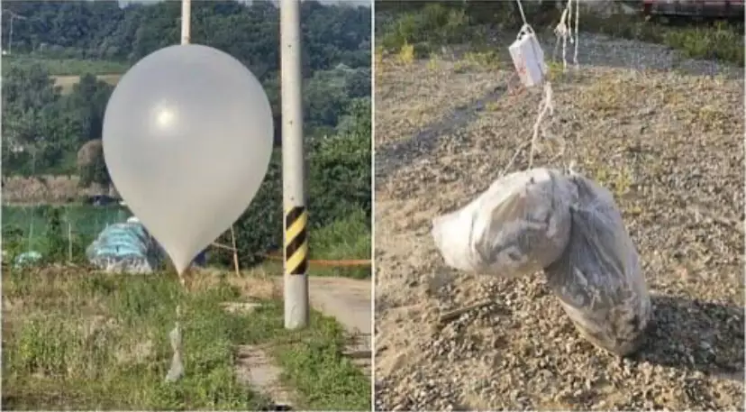 Воздушные шары с навозом отправила Северная Корея в Южную