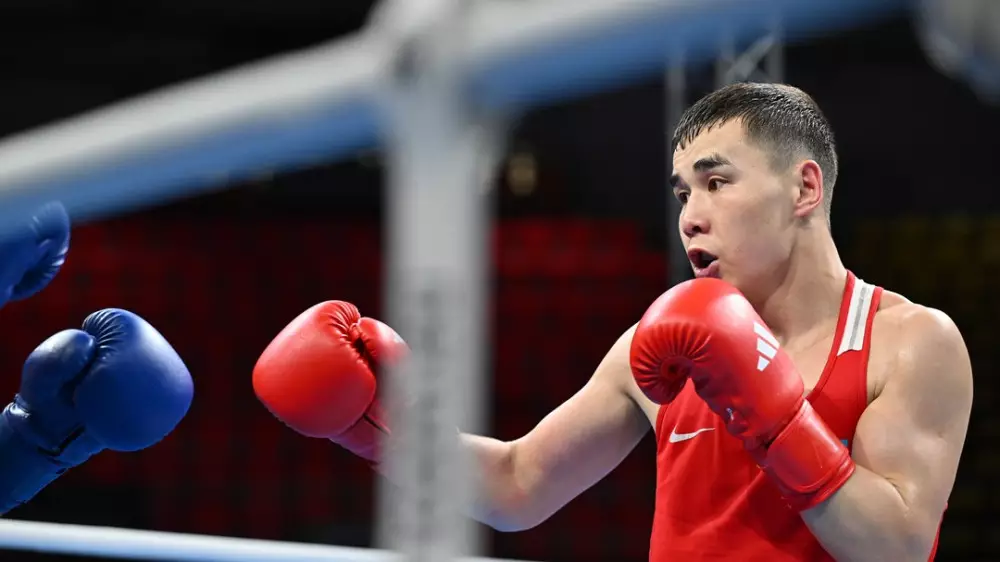 Казахстанские боксеры могут заработать 130 миллионов: подробности