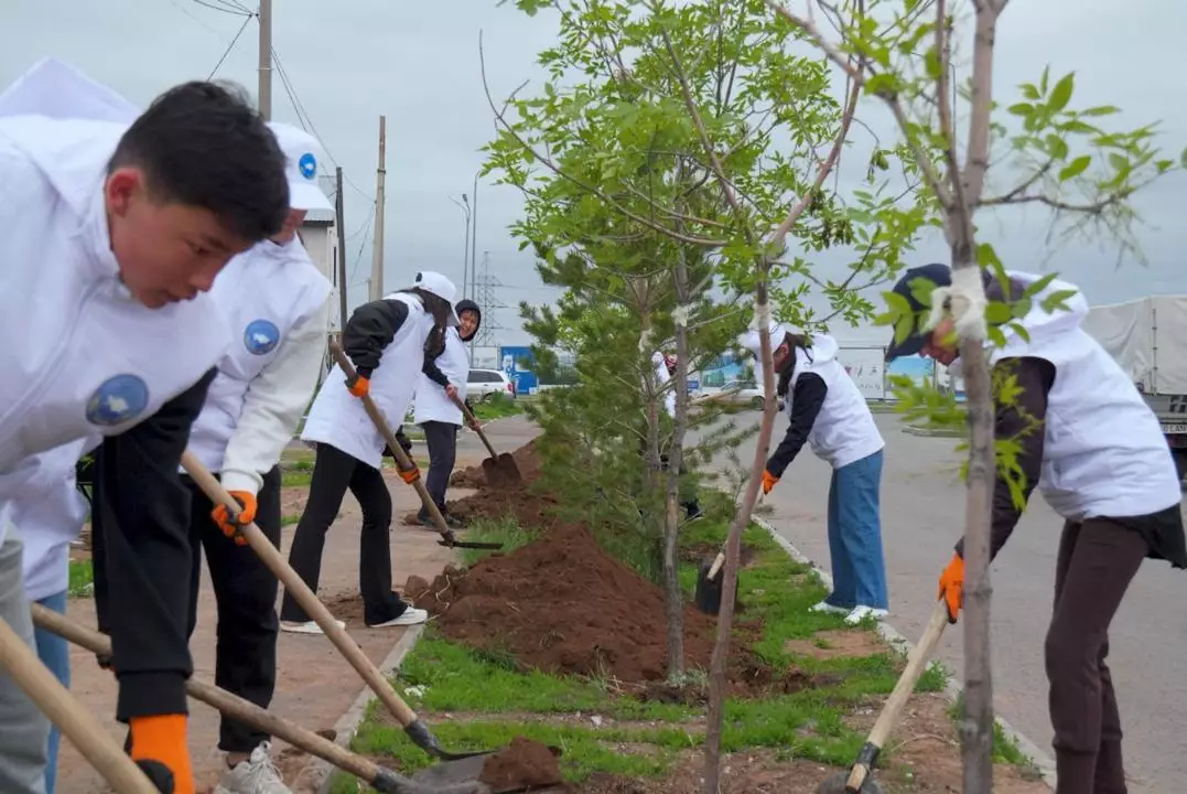 "Таза Қазақстан": молодёжь АНК посадила деревья в Астане