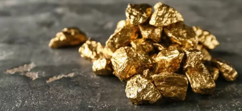 Незаконная деятельность золотодобытчиков пресечена в Акмолинской области