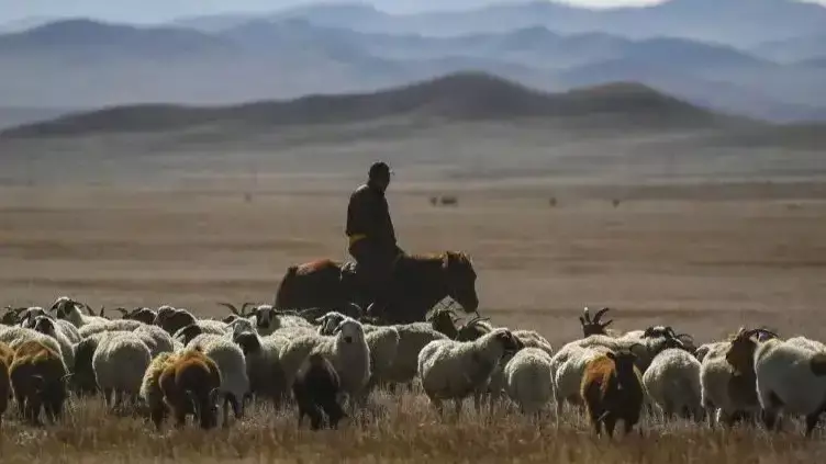 В Акмолинской области нашли тело пропавшего пастуха