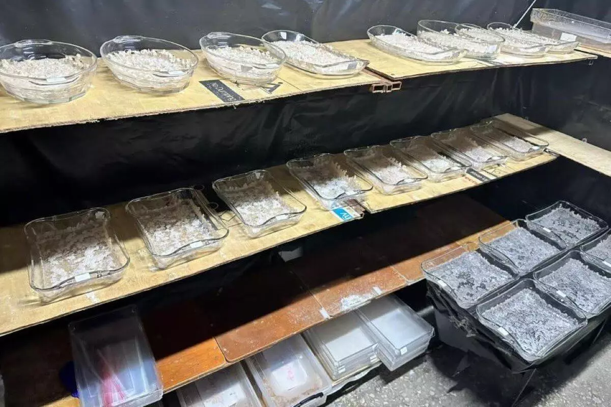 Наркотики на 140 млн тенге изъяли в подпольной лаборатории в Алматы (ВИДЕО)