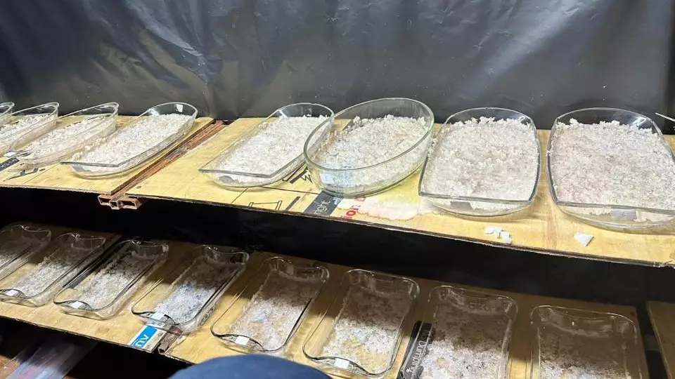 Нарколабораторию в частном доме обнаружили сотрудники КНБ Алматы