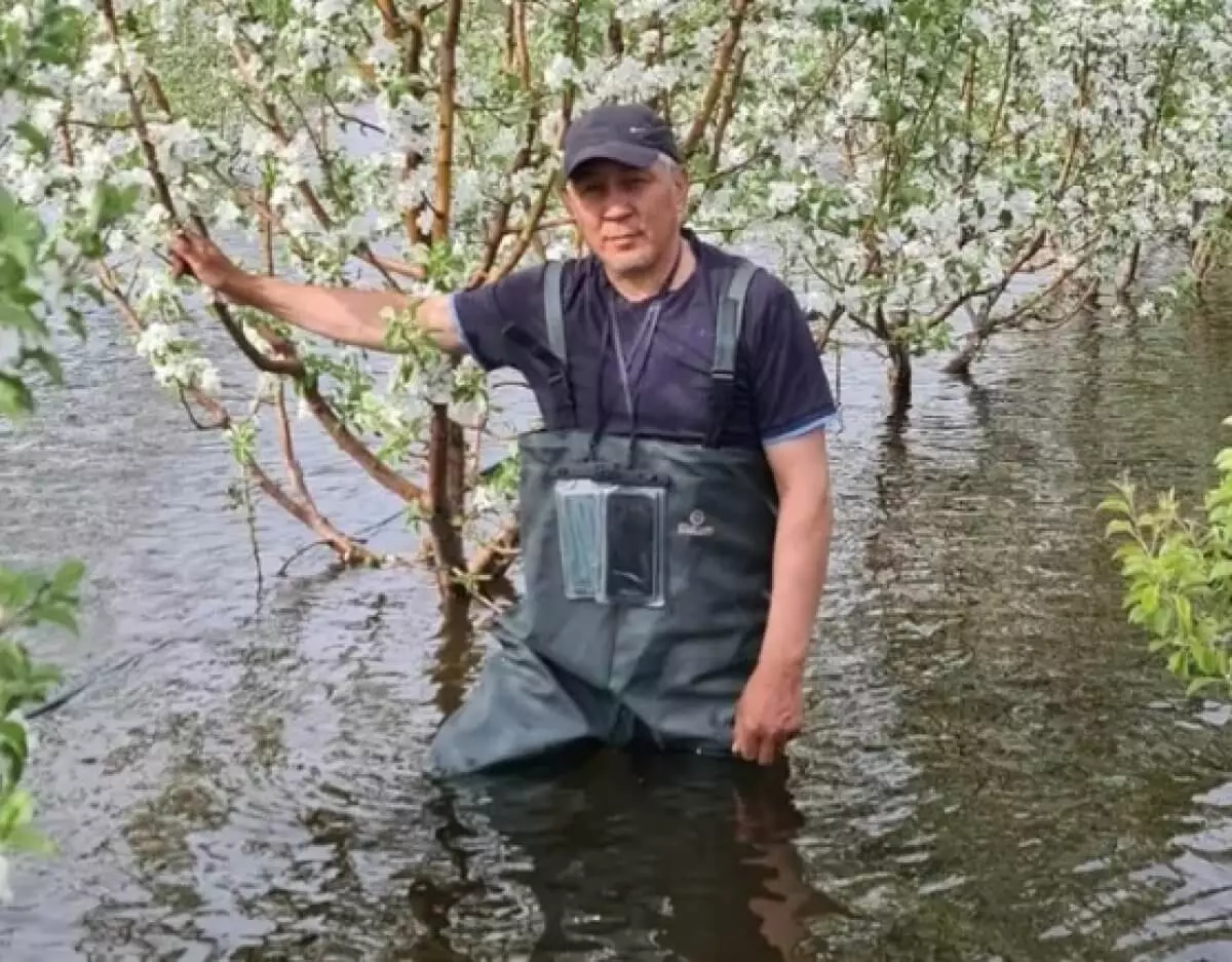 Уникальный яблоневый сад под угрозой исчезновения из-за паводков в ЗКО (ВИДЕО)