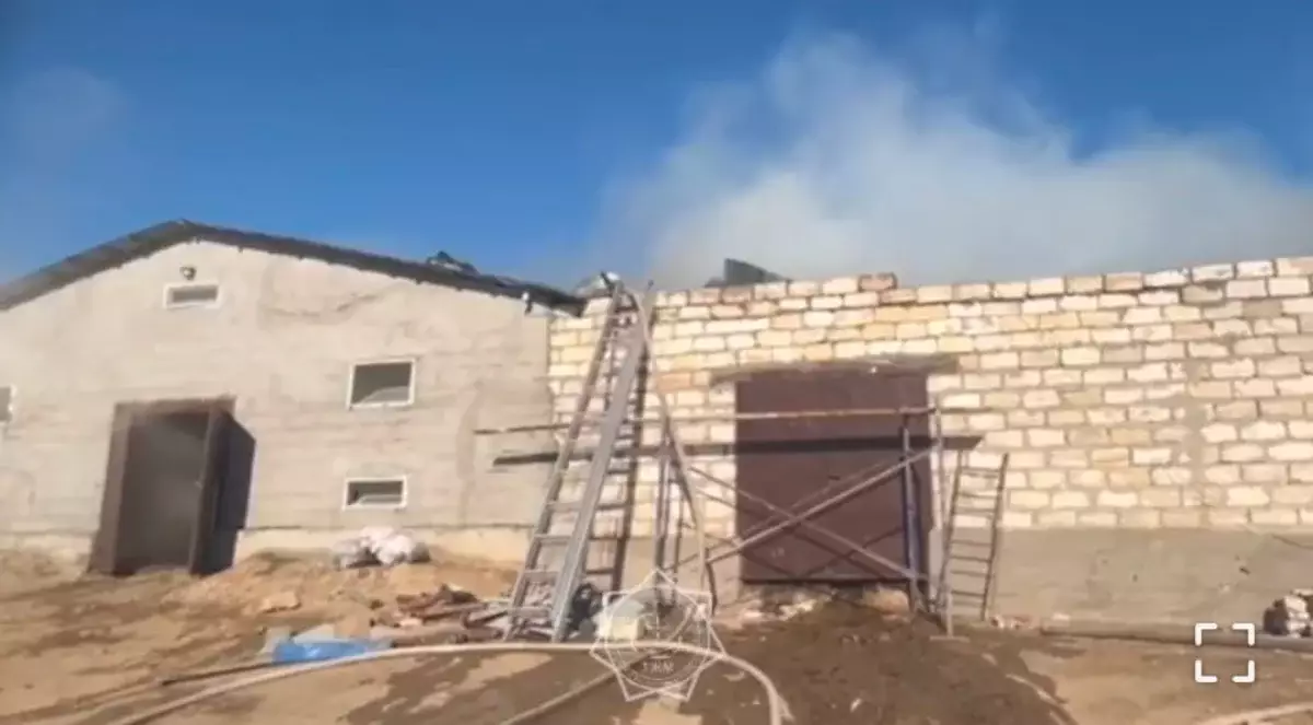 В Кызылординской области загорелся скотный двор - видео