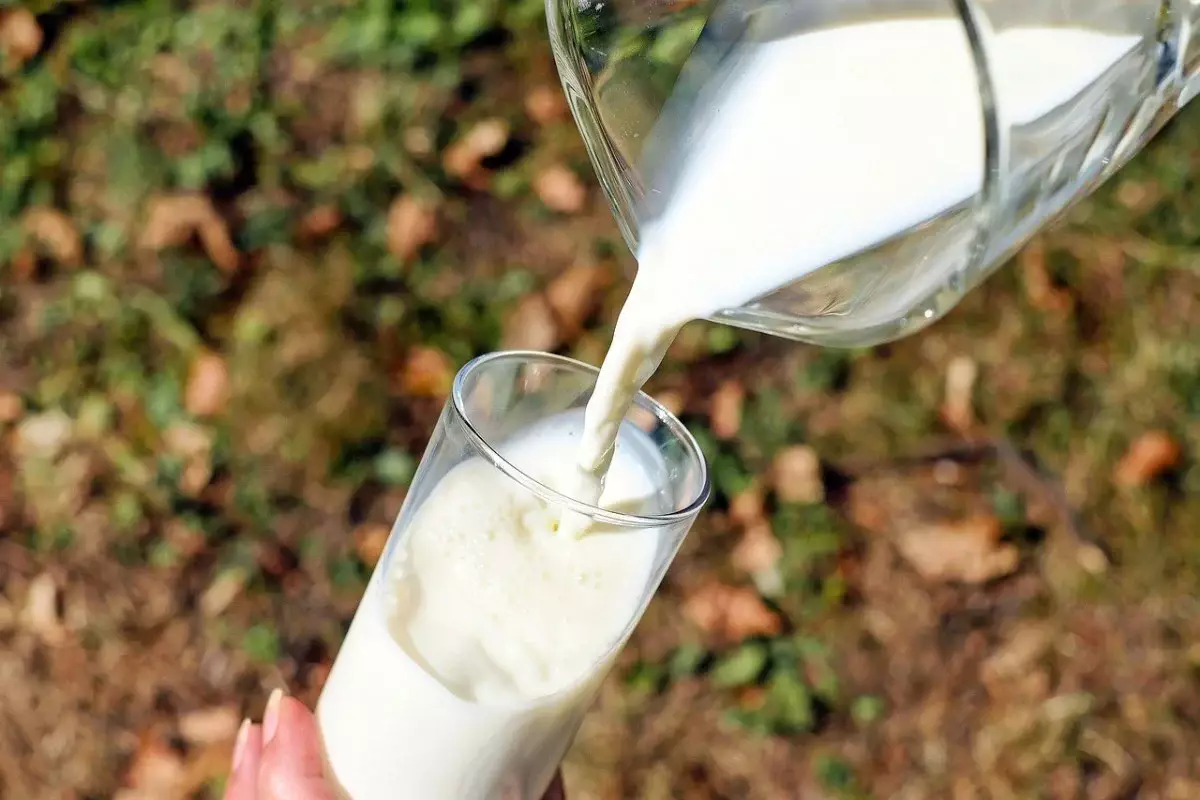 Стандарт кобыльего молока для казахстанских импортеров разработали в Китае