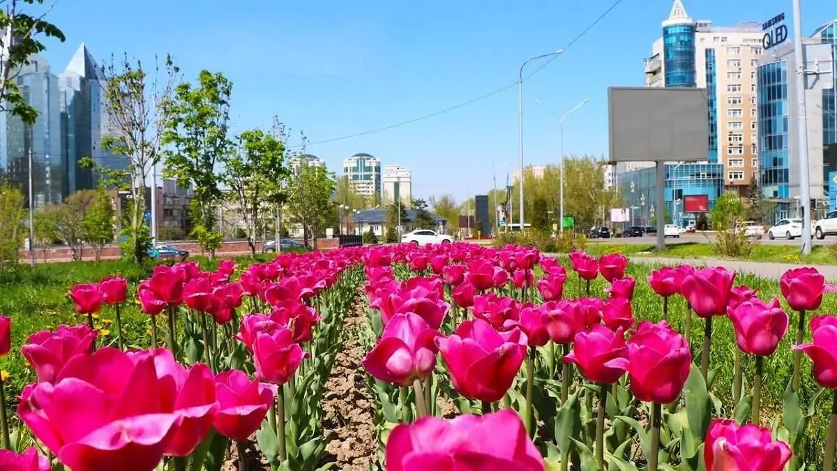 Погода в Алматы с 27 мая по 2 июня 2024 года