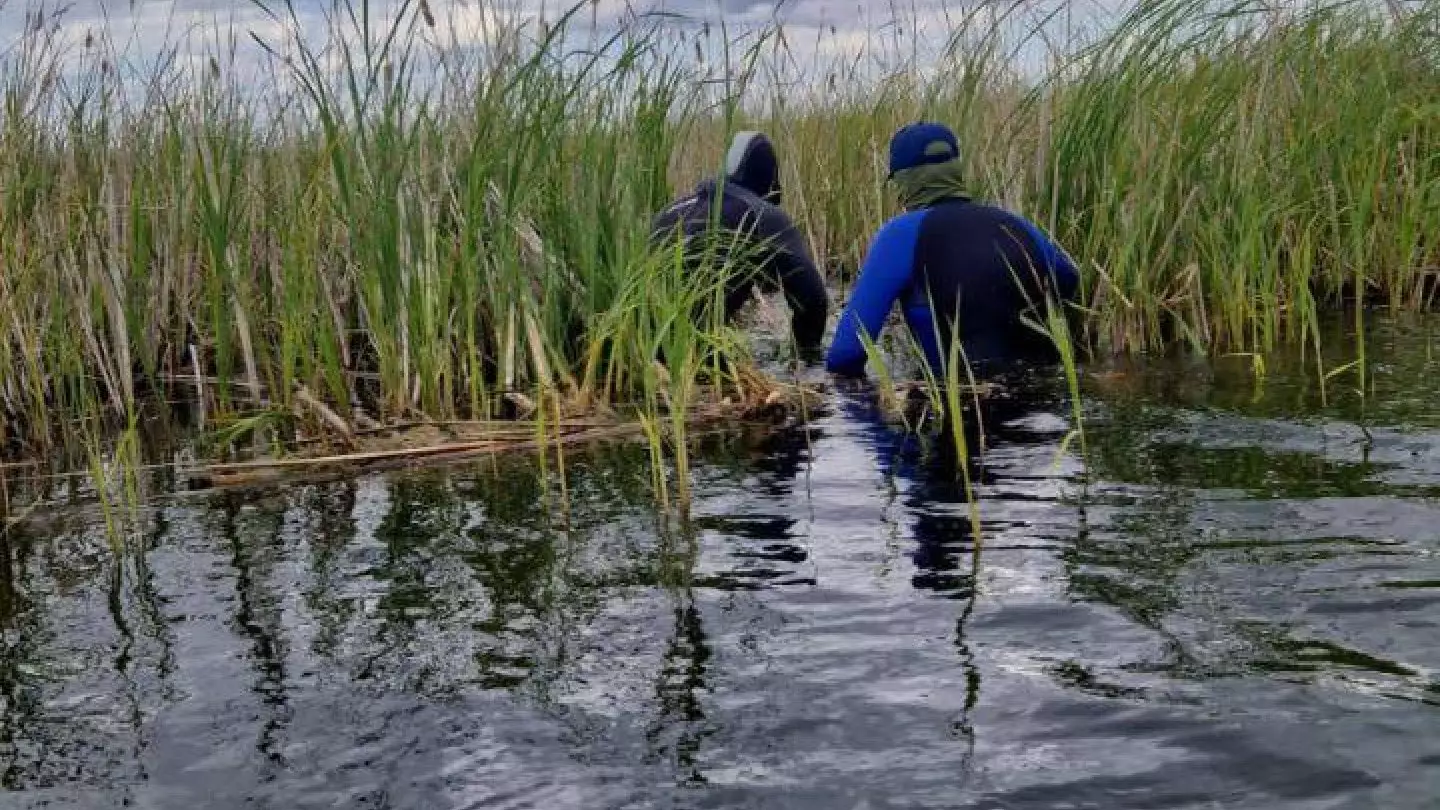 Тело рыбака нашли на озере около Шахтинска