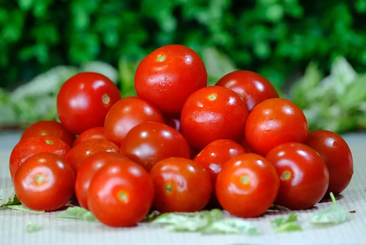 Казахстан вернул в Узбекистан и Туркменистан 60 тонн заражённых томатов