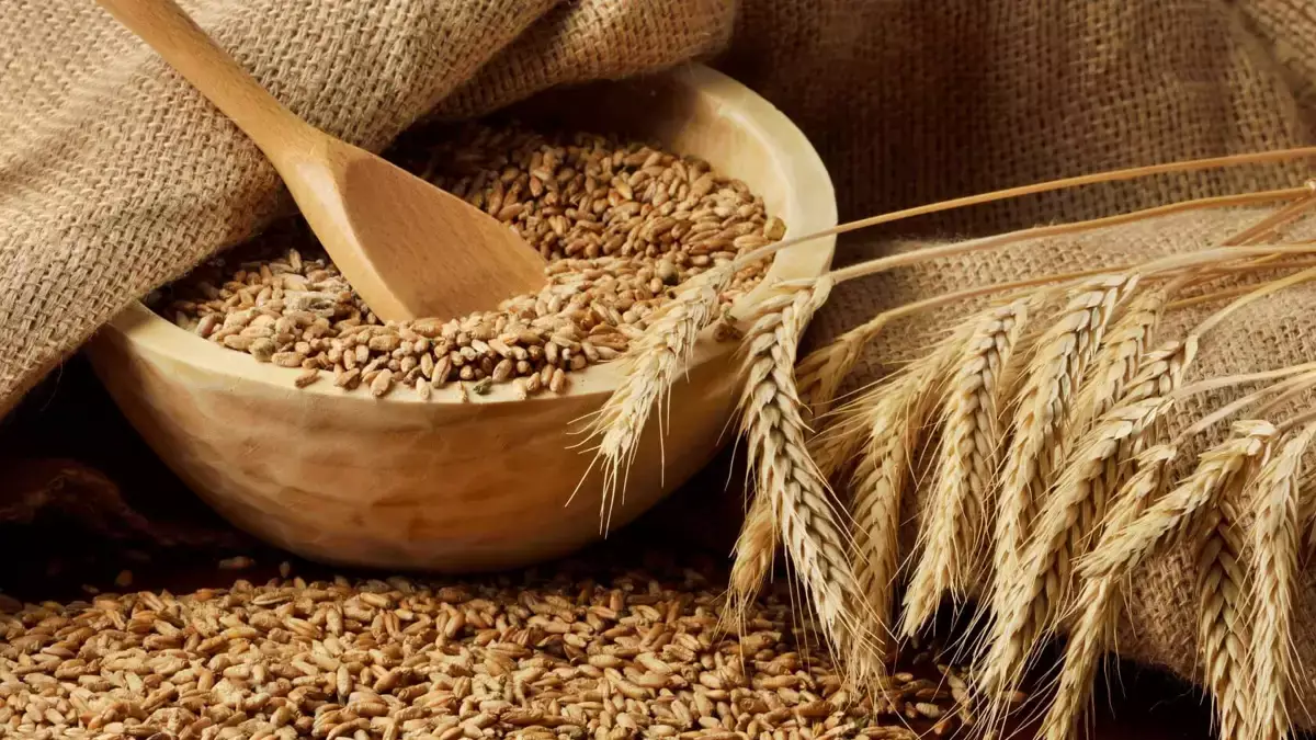 Казахстан запретил ввоз пшеницы из России из-за конкуренции