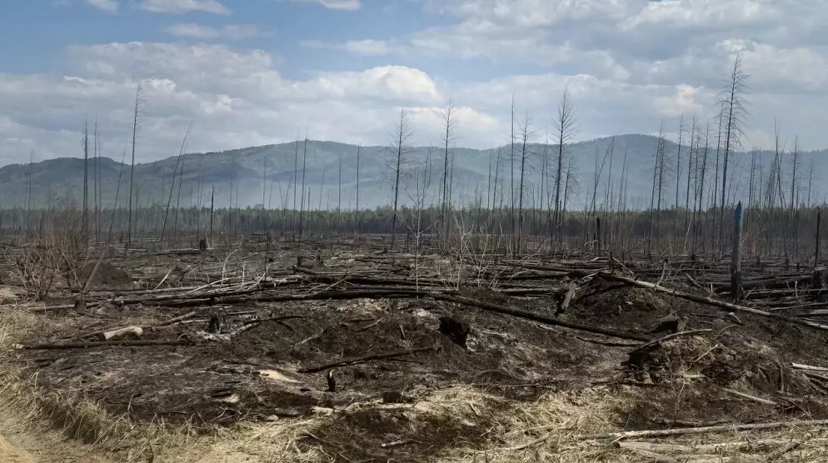 В Бурятии и Забайкалье продолжают бушевать лесные пожары
