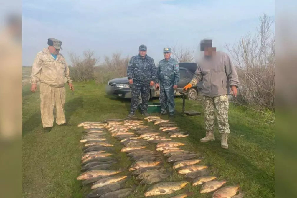 Почти 600 кг рыбы изъяли у браконьеров в Туркестанской области