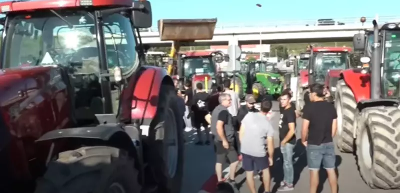 В Европе фермеры снова начали протестовать