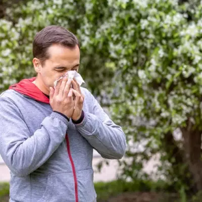 Иммунолог дала советы по профилактике аллергии в период цветения тополя