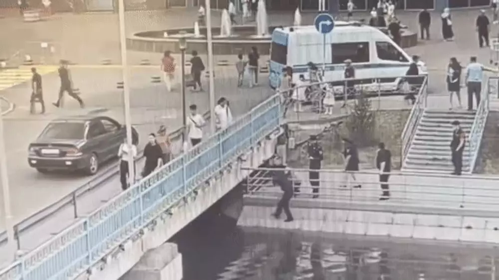 Спасение девочки, прыгнувшей в реку, попало на видео